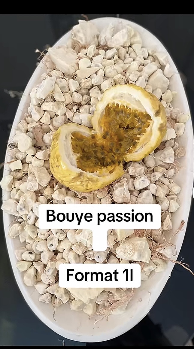 Bouye Passion